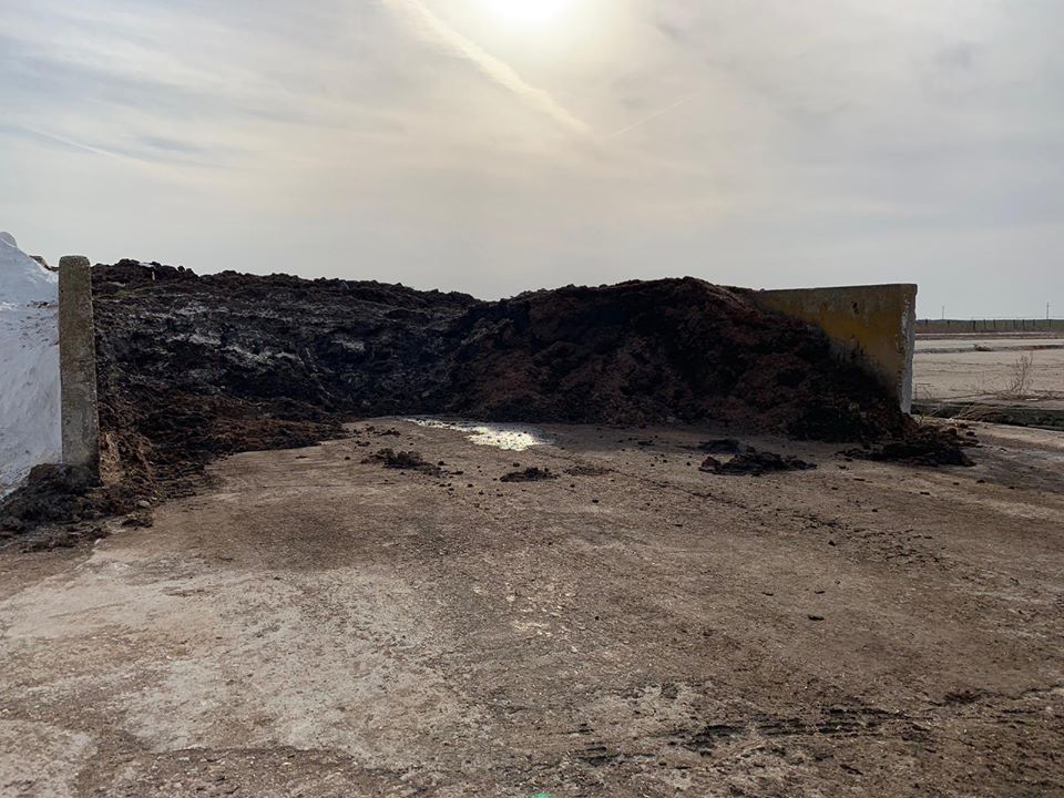 07.03.2019 În mai multe cartiere ale Municipiului Arad s a resimțit un miros puternic de dejecții 