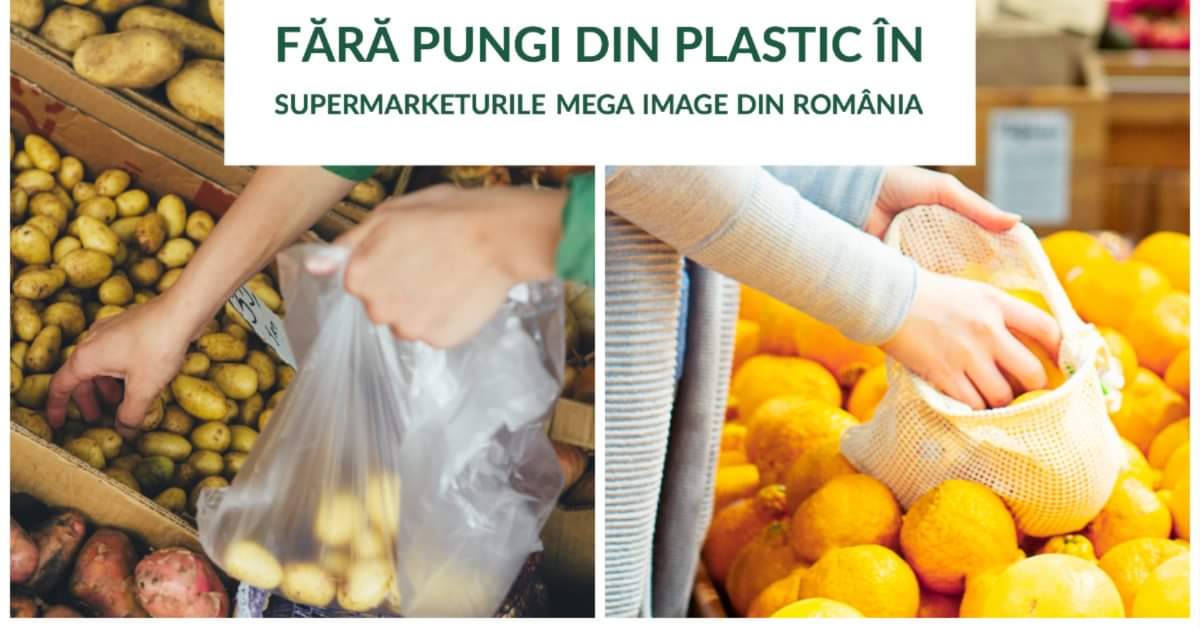 În doar 24 de ore de la lansare peste 2600 de cetățeni care au înțeles că poluarea cu punci din plastic de unică folosință este o problema de mediu care ne privește pe toți, au semnat petiția "Fără pungi din plastic în supermarketurile MEGA IMAGE din România".