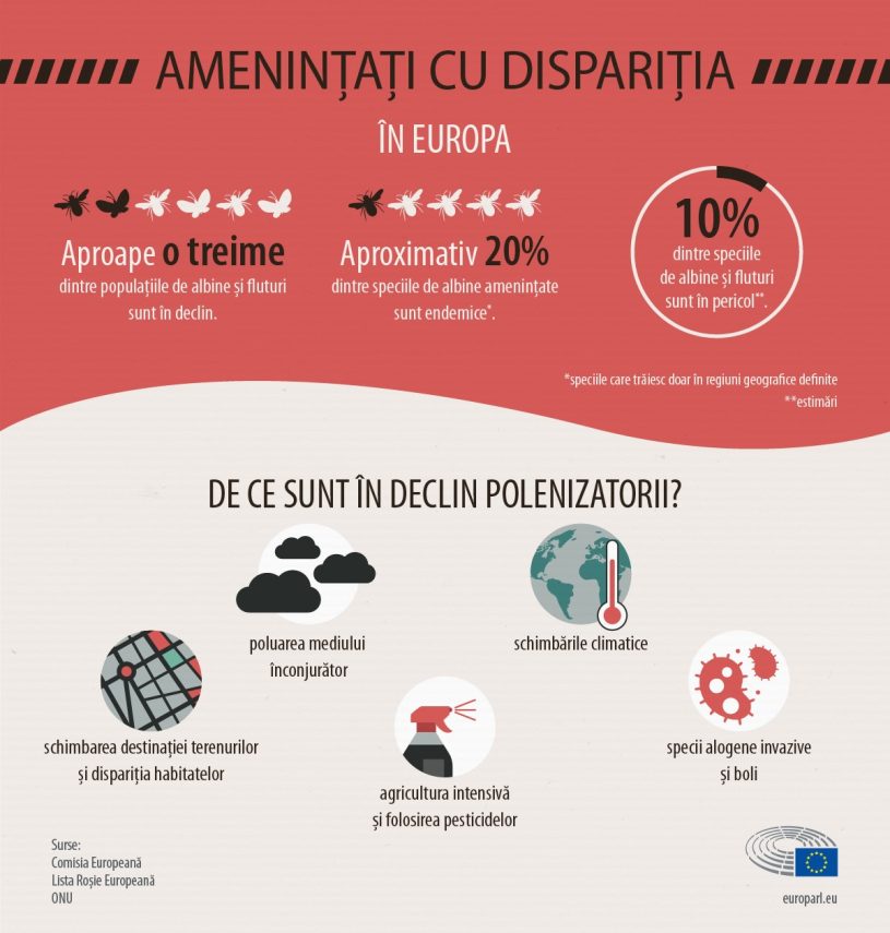 În anii ’90 orice călătorie cu mașina pe timp de vară îți umplea parbrizul de insecte și era foarte bine. Acum…