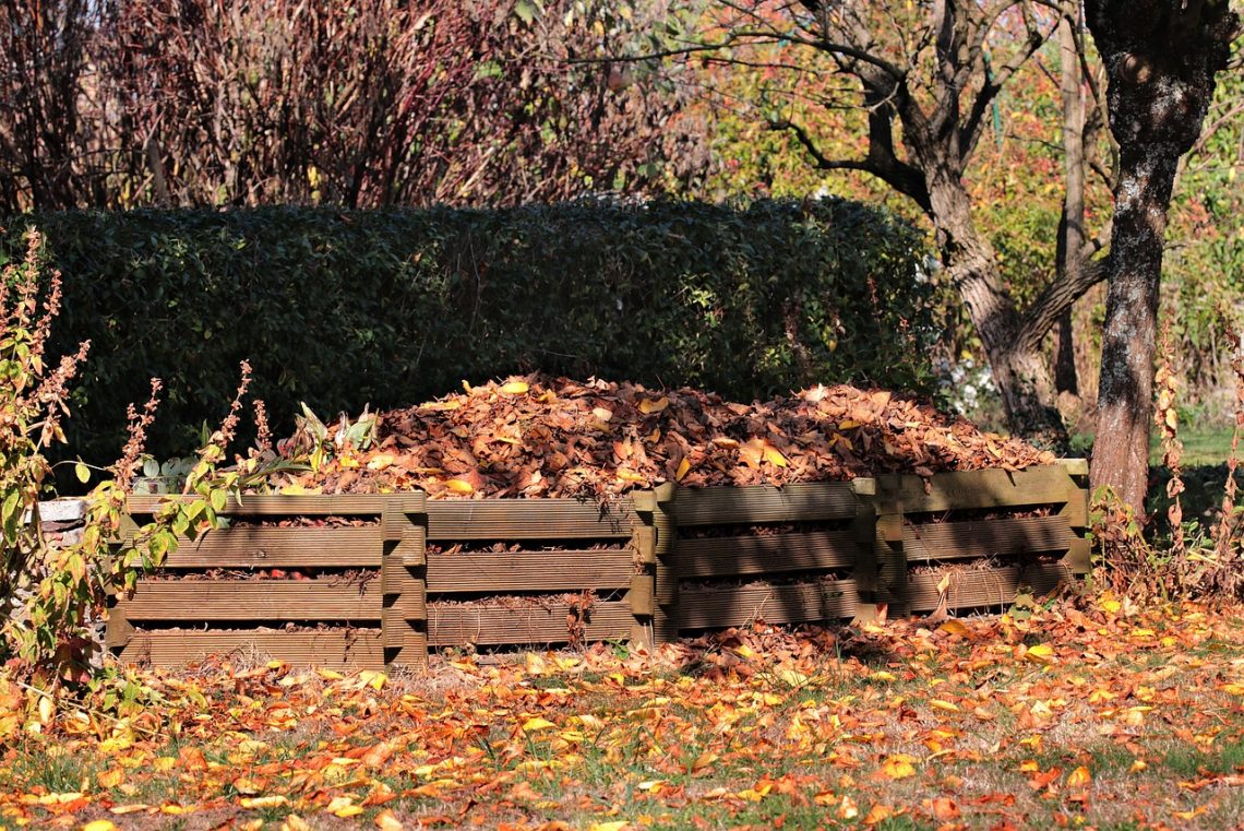 Frunzele NU sunt gunoi! Nu se aruncă, nu se ard, se transformă în compost!