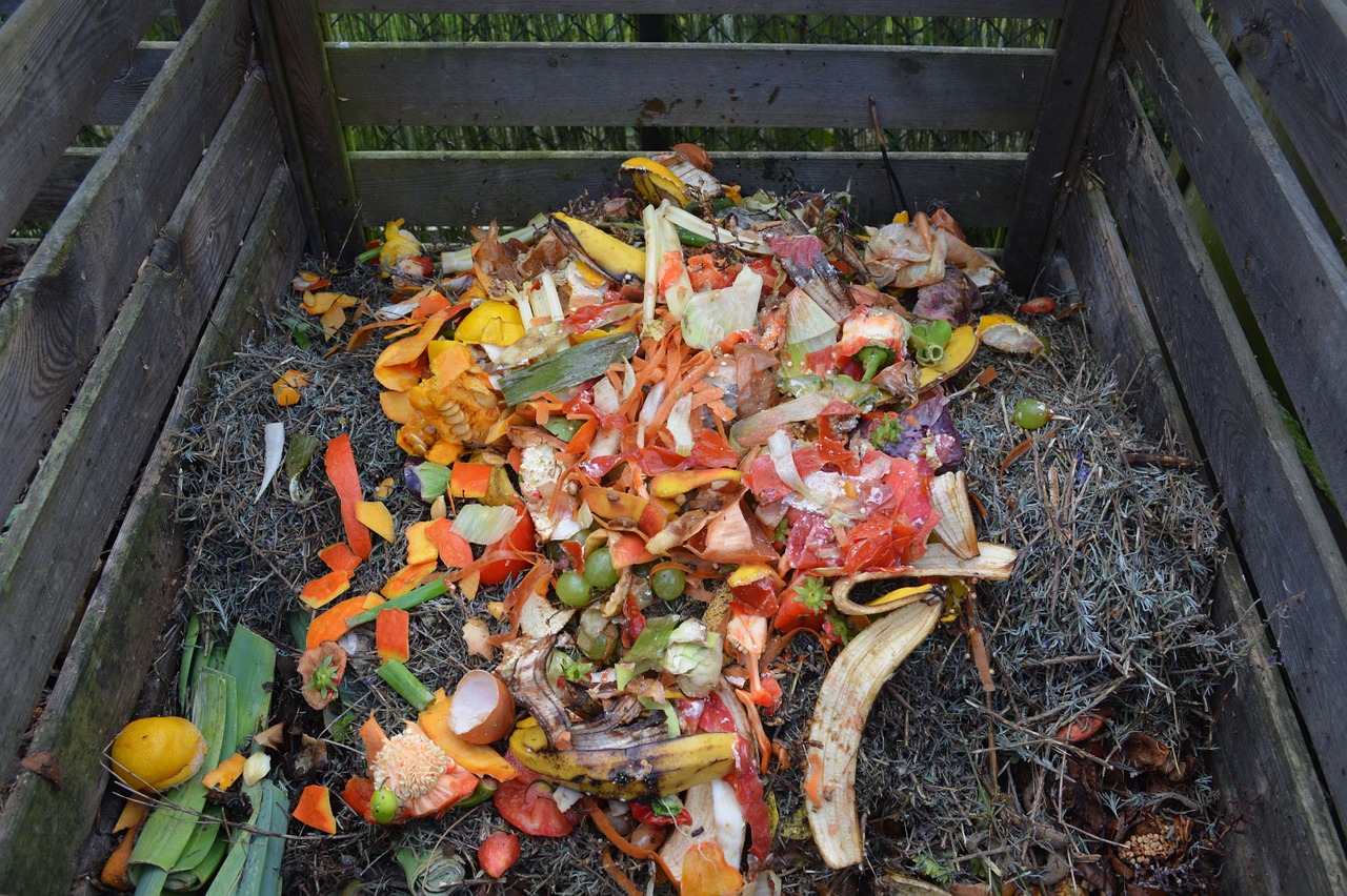 ladă de compost fără plastic resturi vegetale