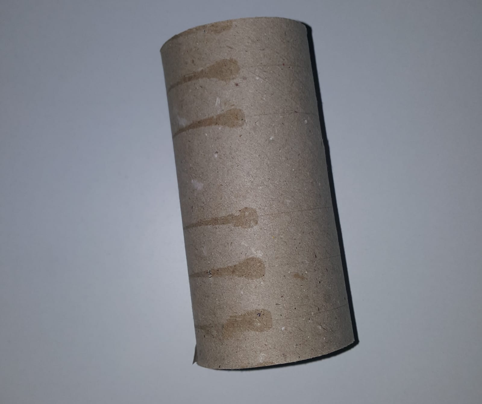 Zero Risipă Colectează separat tuburile de hârtie igienică se reciclează 1